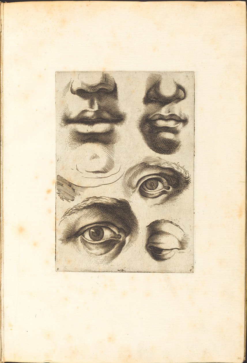 Stampa dal libro di disegni da Luca Ciamberlano