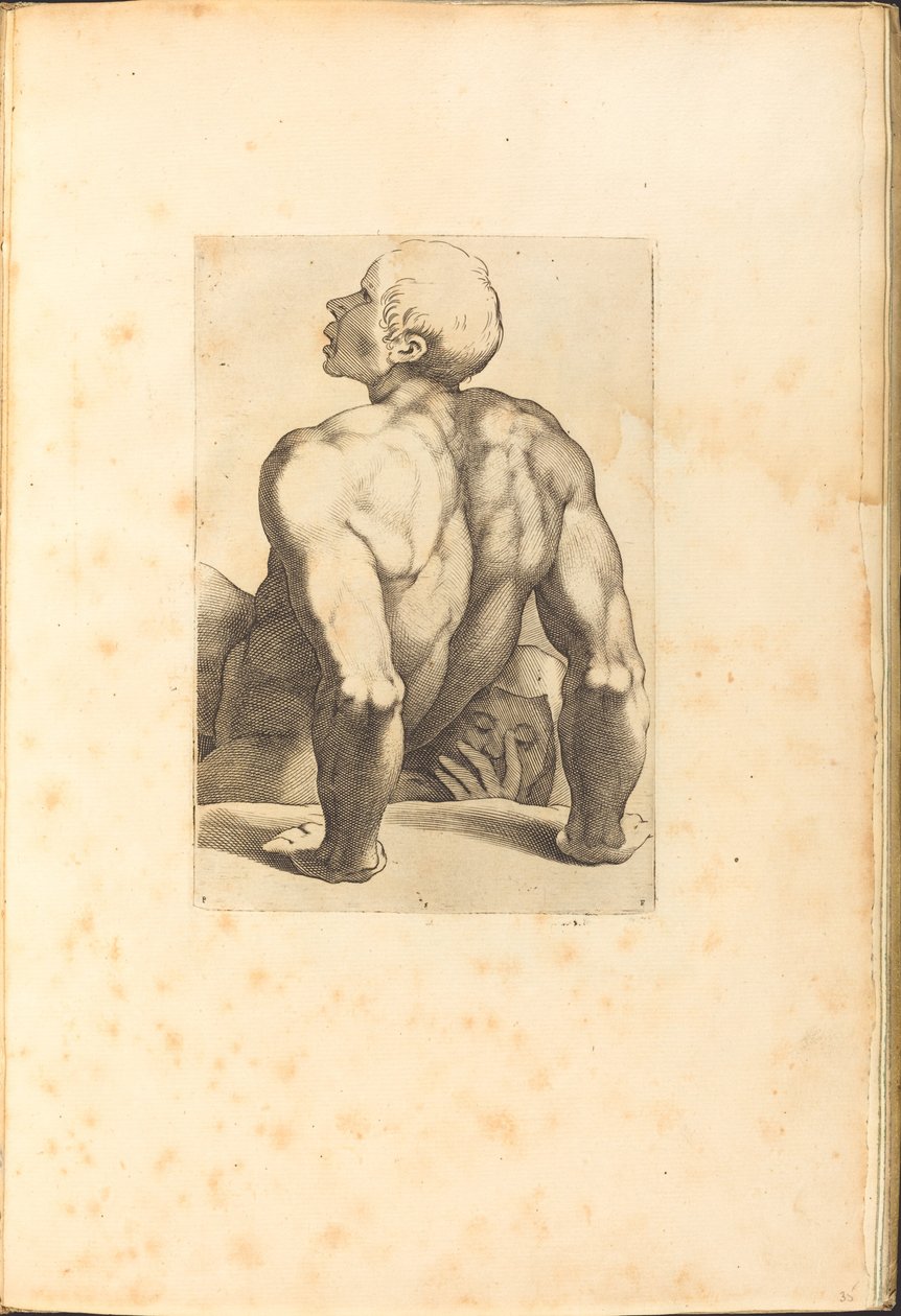 Stampa dal libro di disegni da Luca Ciamberlano