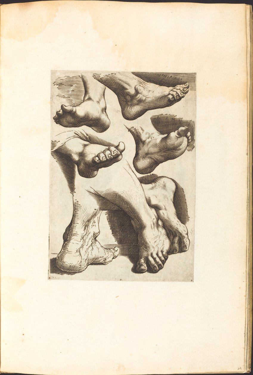 Stampa dal libro di disegni da Luca Ciamberlano