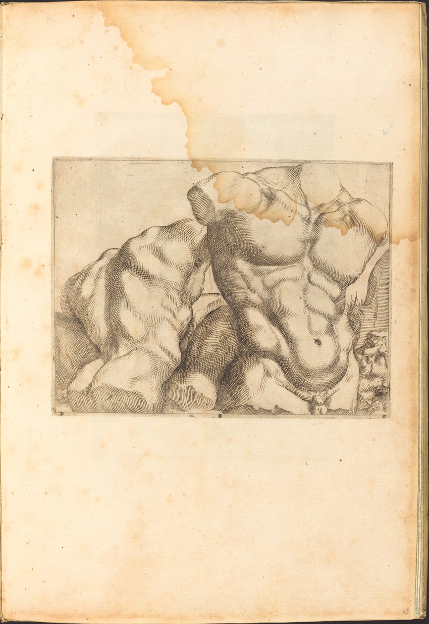 Stampa dal Libro di Disegni da Luca Ciamberlano