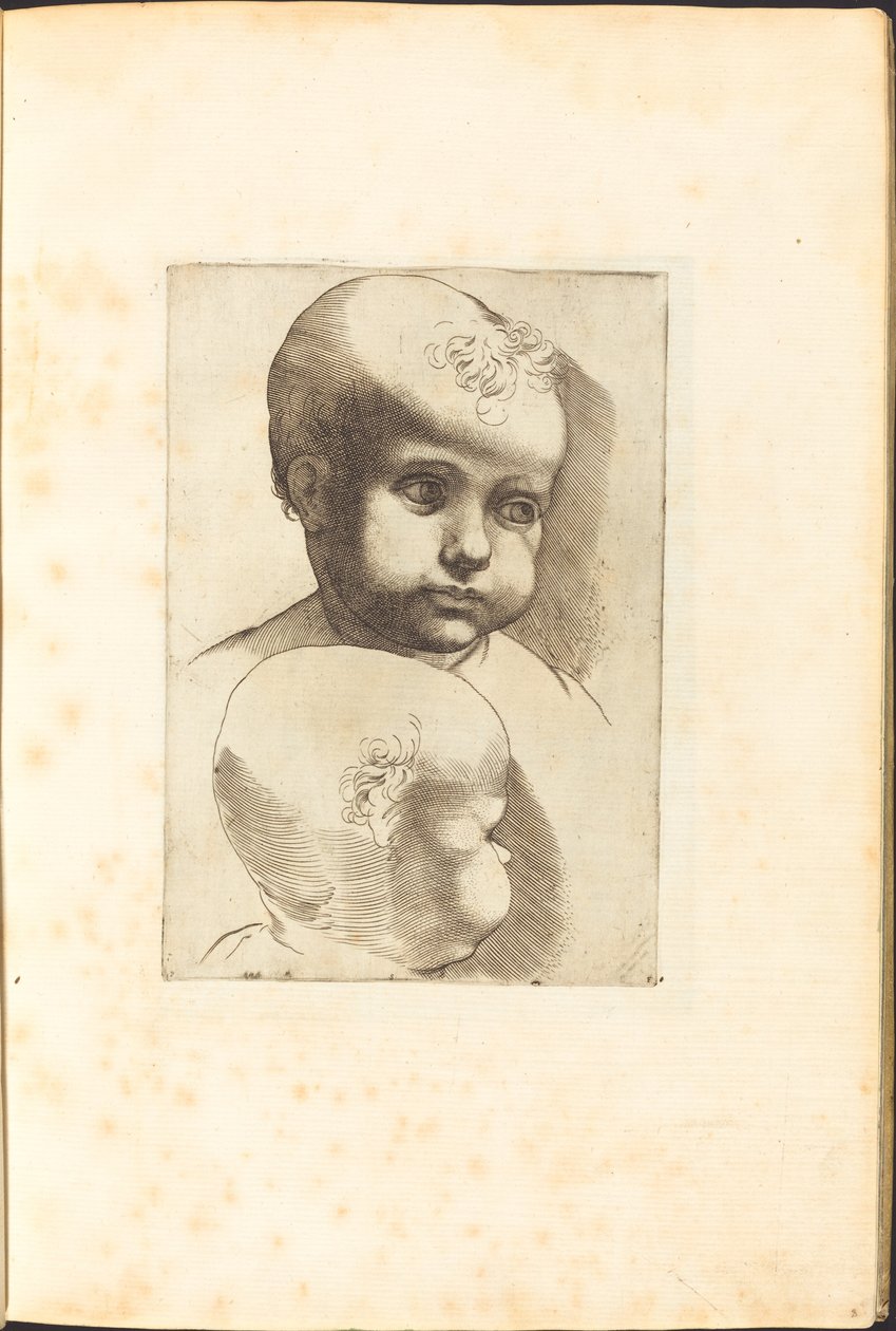 Stampa dal libro di disegni da Luca Ciamberlano