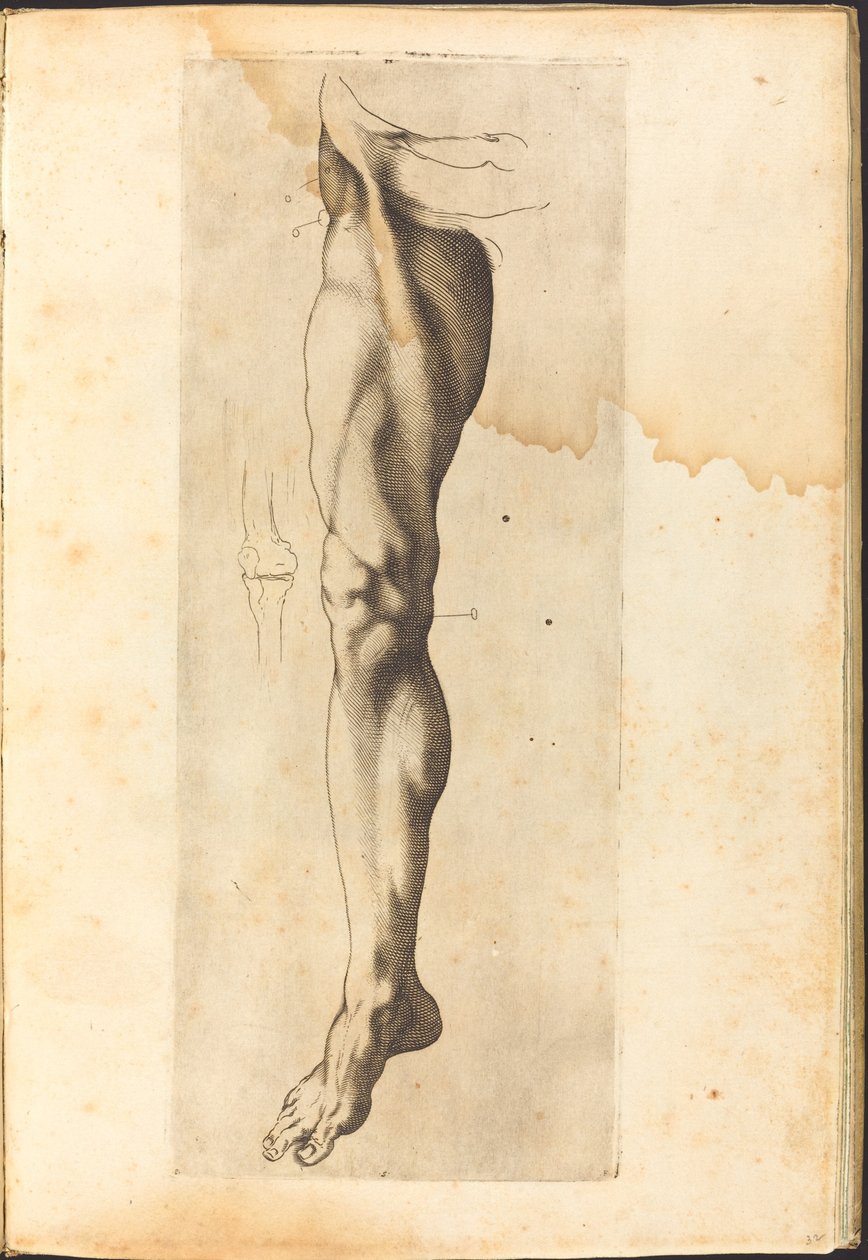 Stampa dal libro di disegni da Luca Ciamberlano