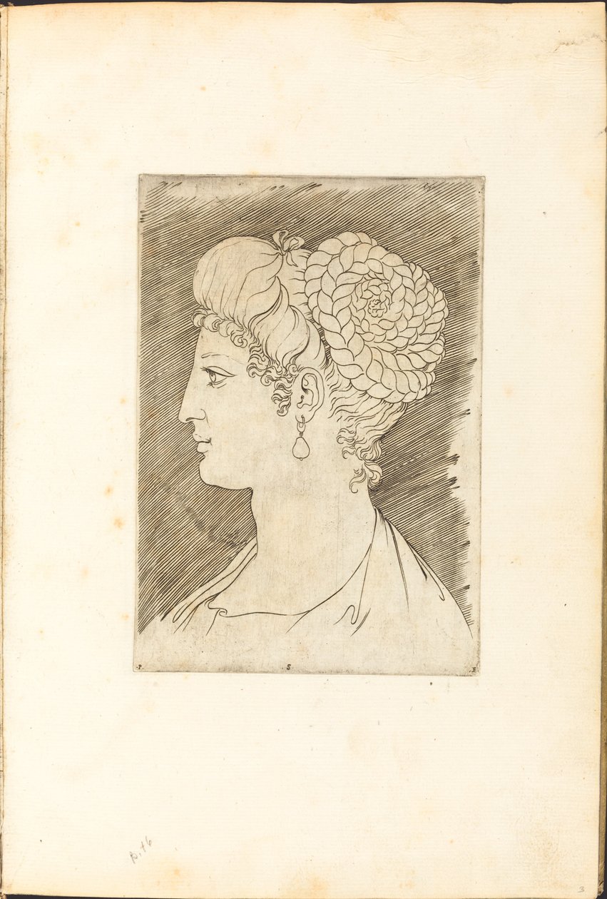 Stampa dal Libro di Disegni da Luca Ciamberlano