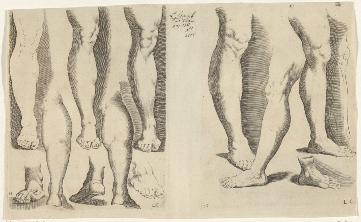 Studi di gambe da Luca Ciamberlano