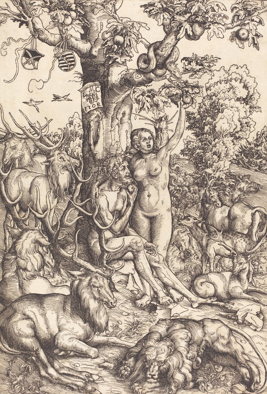 Adamo ed Eva da Lucas Cranach the Elder