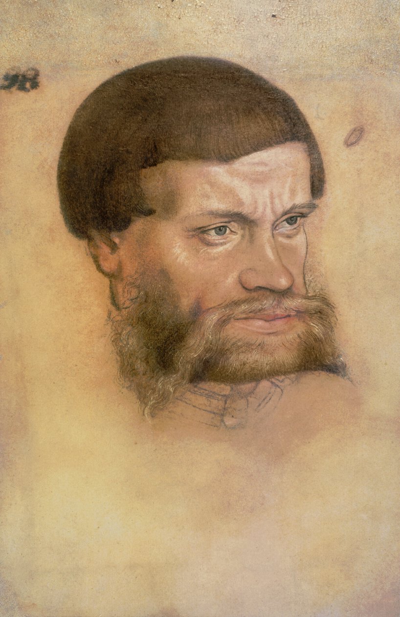 Ritratto ritenuto di Giovanni il Costante, Elettore di Sassonia da Lucas Cranach the Elder