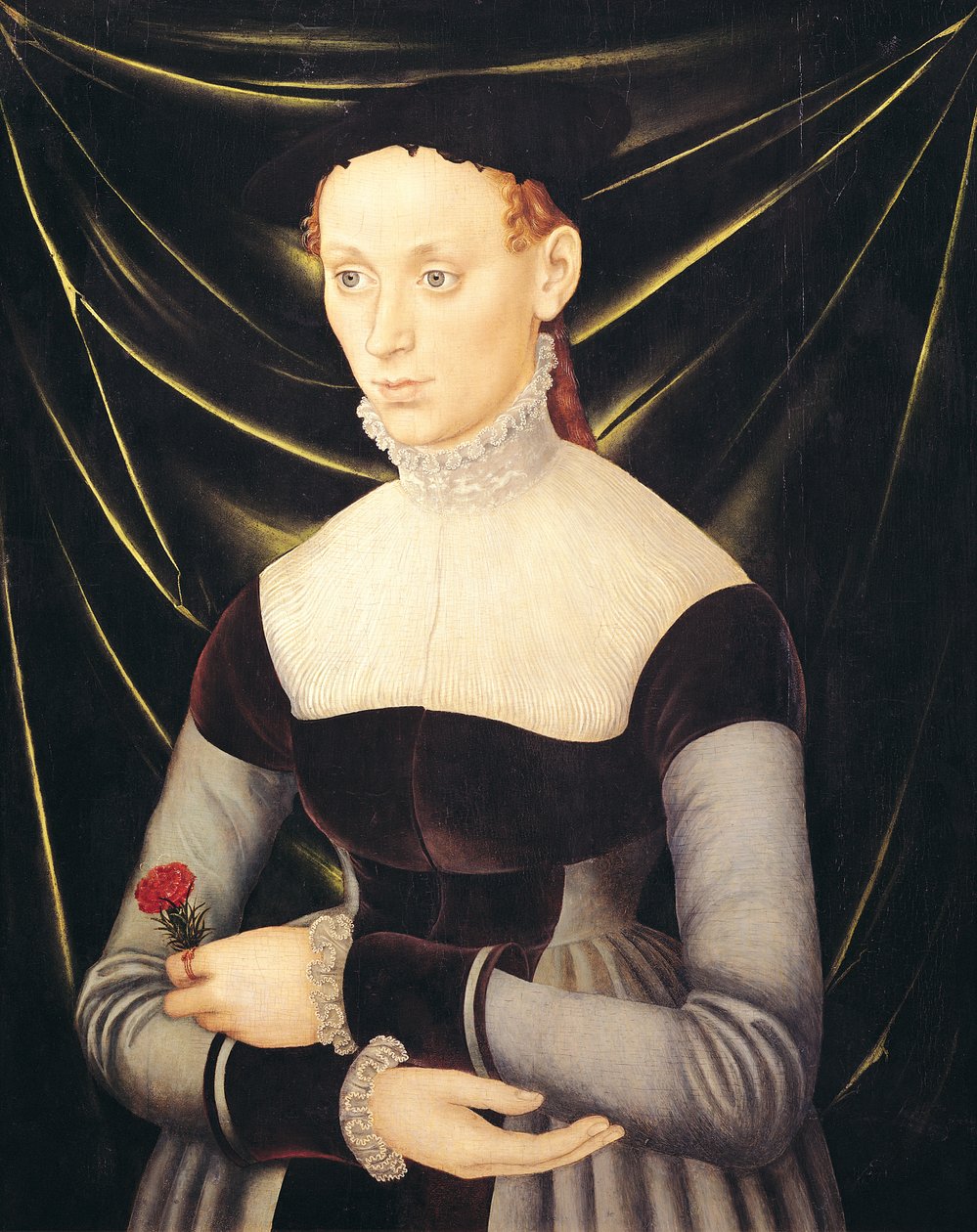 Donna con un garofano da Lucas Cranach the Elder