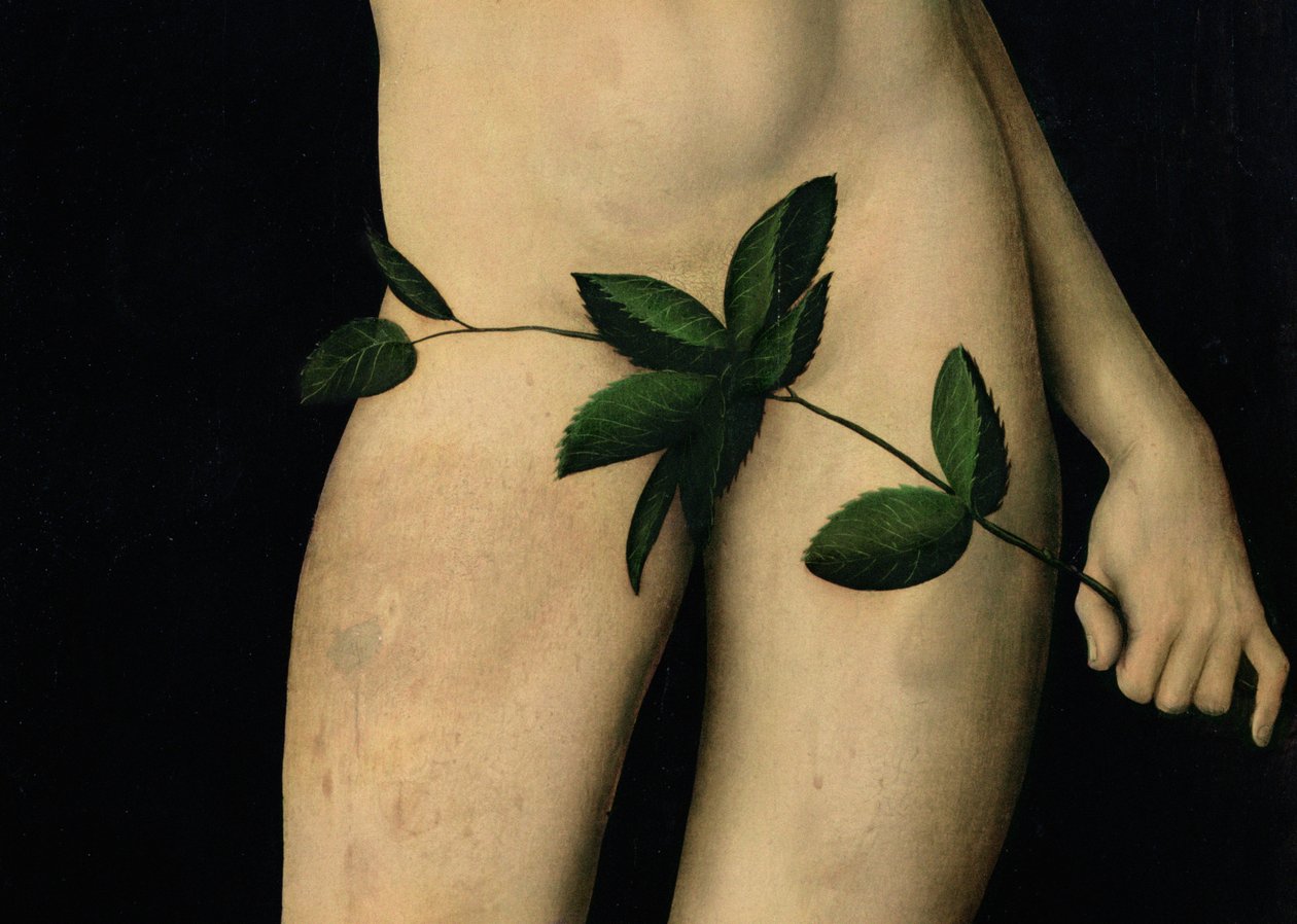 Adamo (dettaglio) da Lucas Cranach the Elder