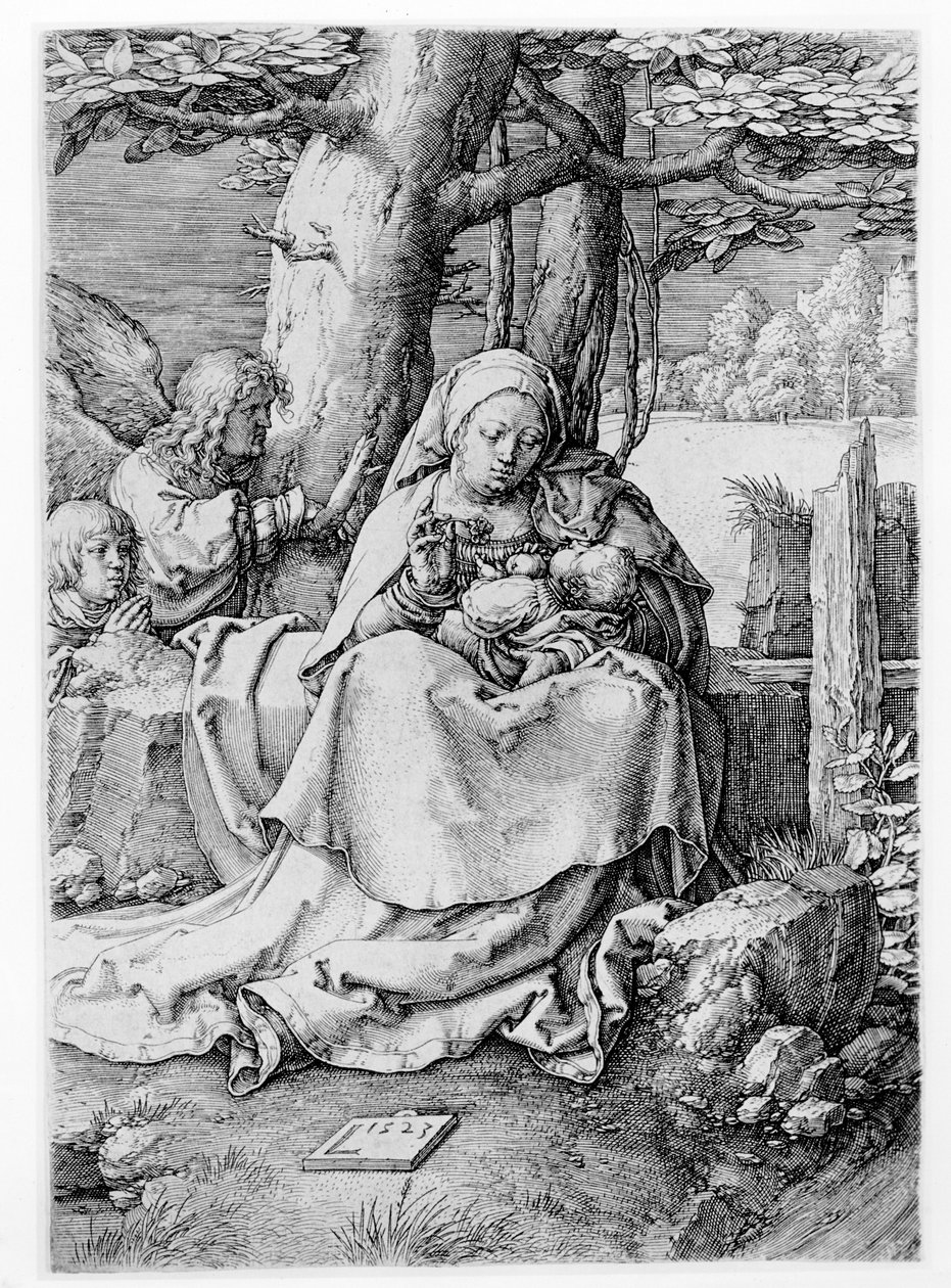 La Vergine e il Bambino in un paesaggio da Lucas van Leyden