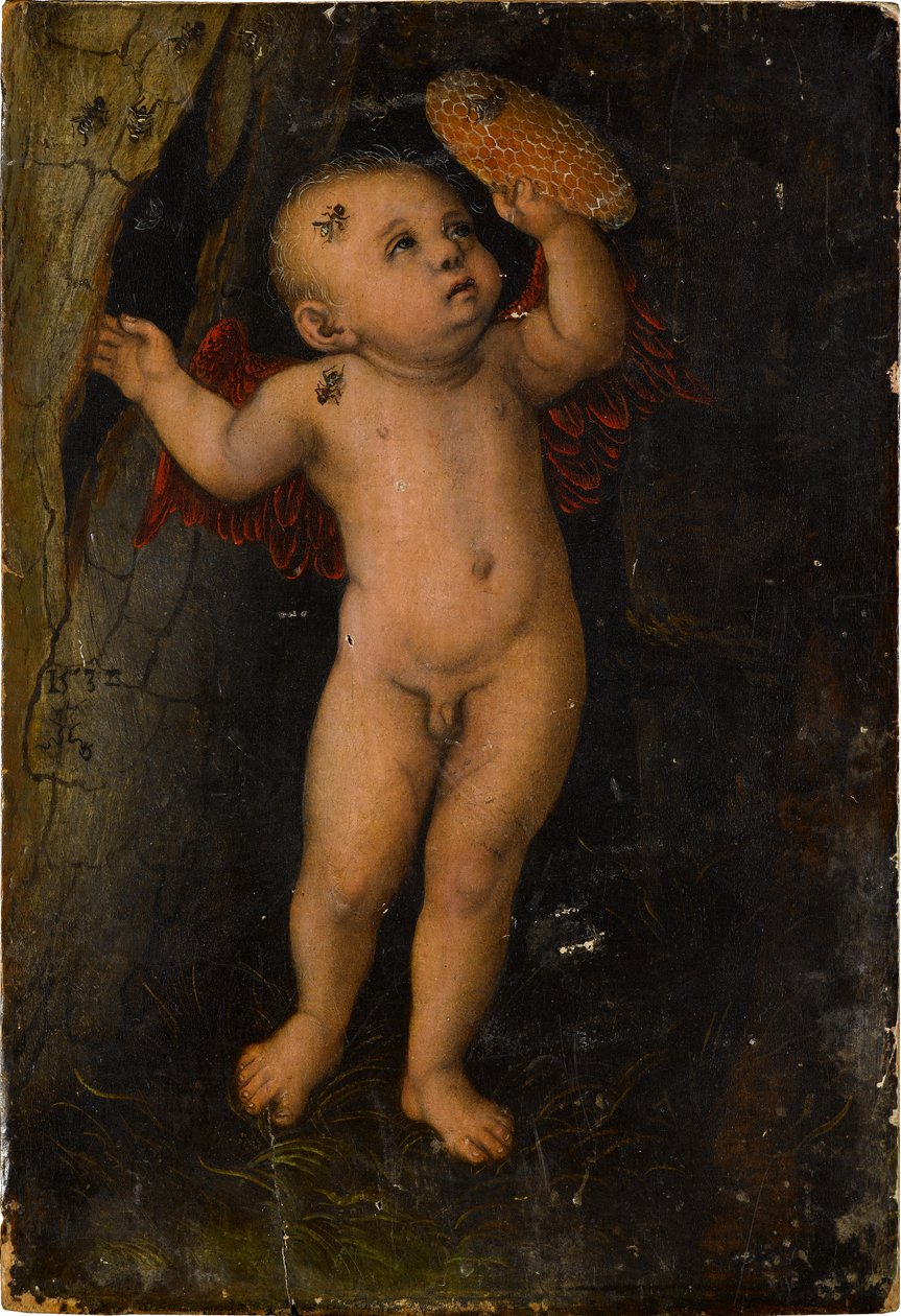 Amor als Honigdieb (Fragment) da Lucas Cranach