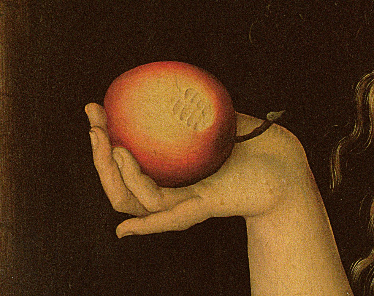 Eva, 1528 (dettaglio) da Lucas Cranach the Elder