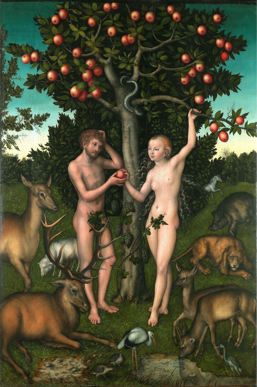 Adamo ed Eva da Lucas Cranach the Elder