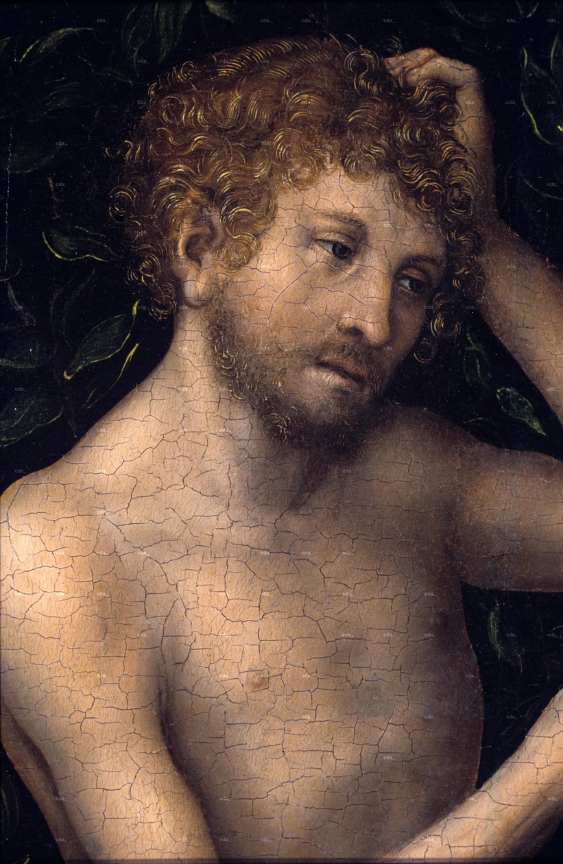 Adamo ed Eva








































 dettaglio da Lucas Cranach the Elder