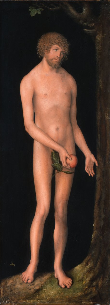 Tedesco: Adam Adam da Lucas Cranach the Elder
