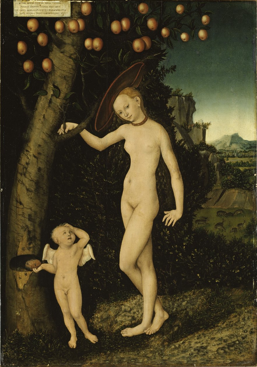 Tedesco: Venus mit Amor als Honigdieb Venere e Cupido come ladro di miele da Lucas Cranach the Elder