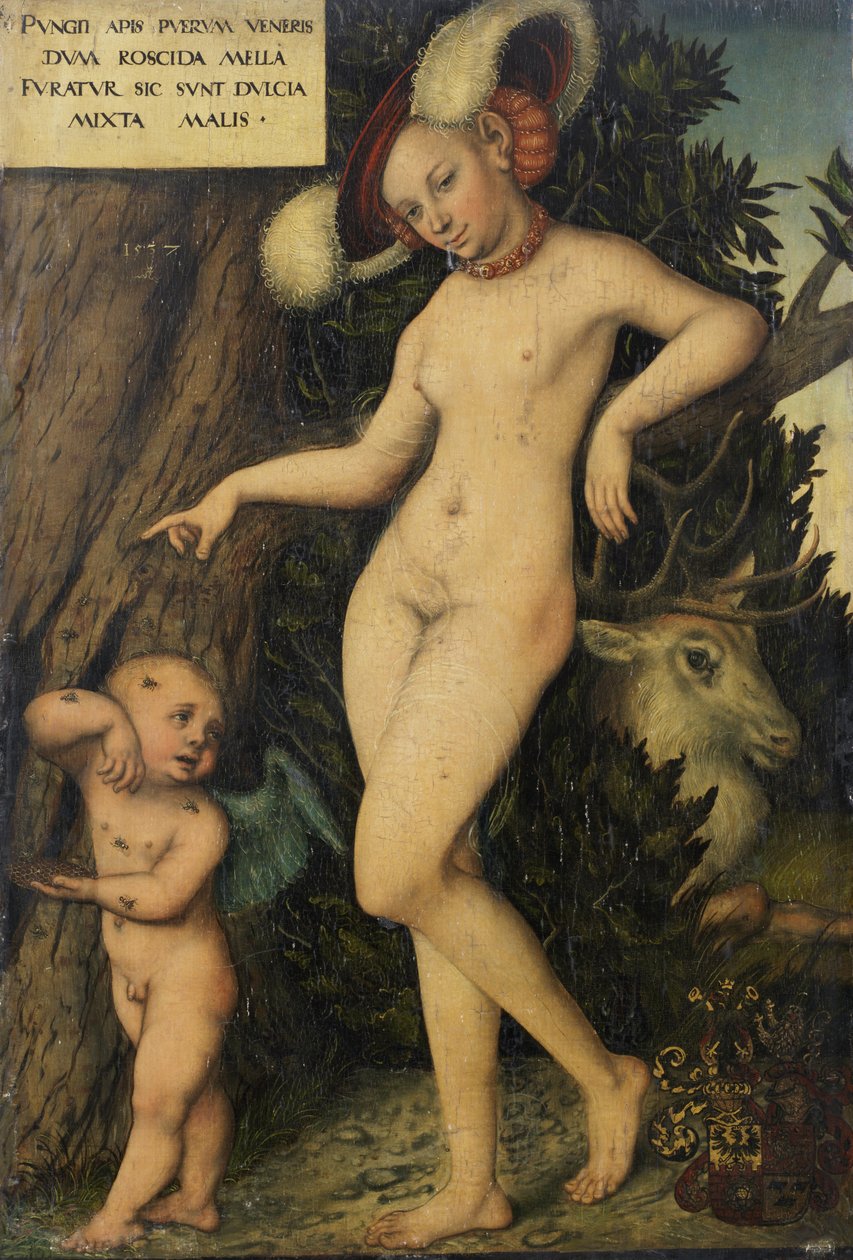 Tedesco: Venus mit Amor als Honigdieb Venere con Cupido che ruba il miele da Lucas Cranach the Elder