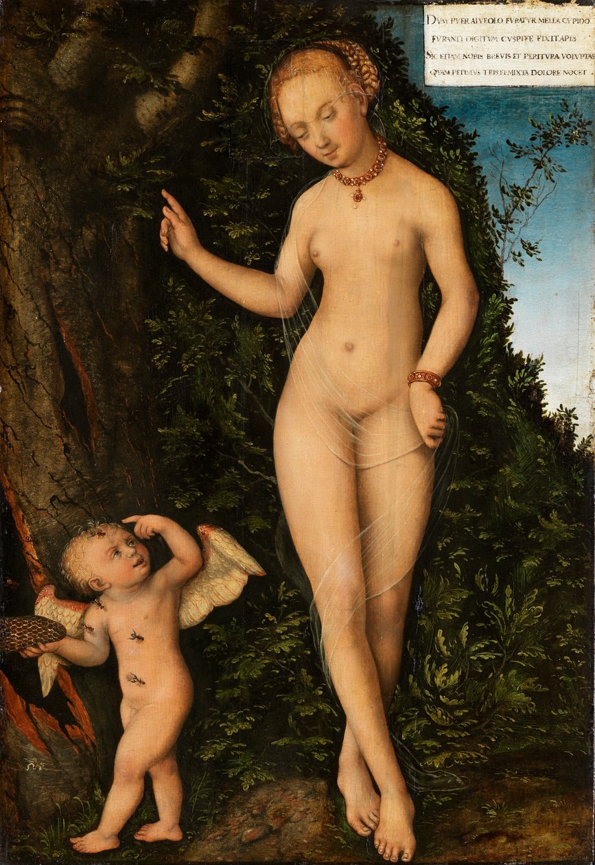 Tedesco: Venus mit Amor als Honigdieb Venere con Cupido il ladro di miele da Lucas Cranach the Elder