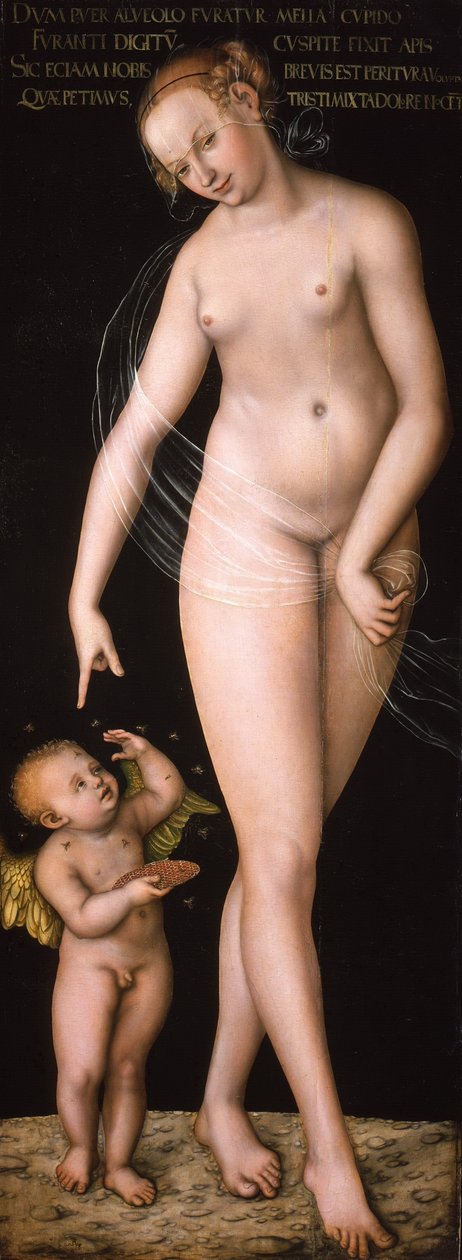 Tedesco: Venus und Amor als Honigdieb Venere con Cupido che rubano il miele da Lucas Cranach the Elder