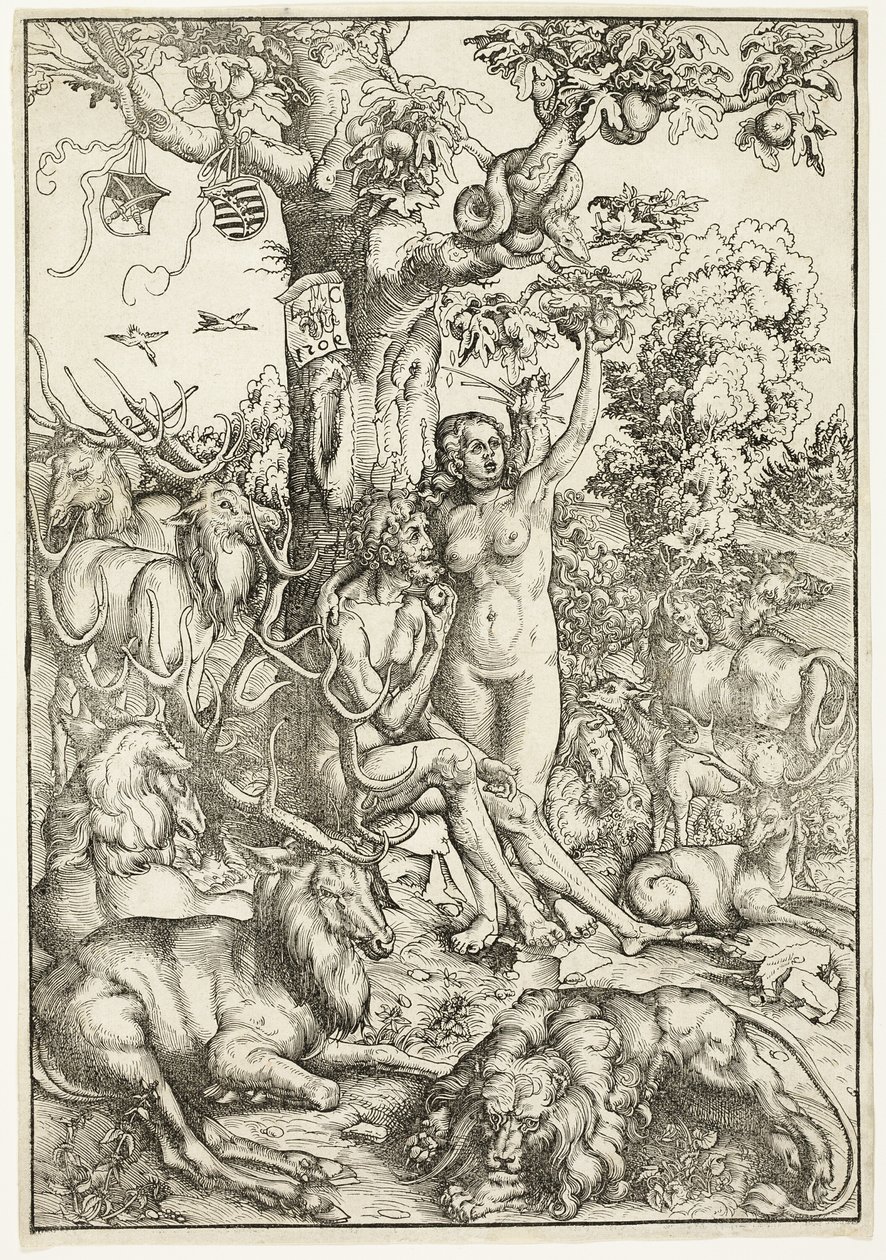 La caduta dell