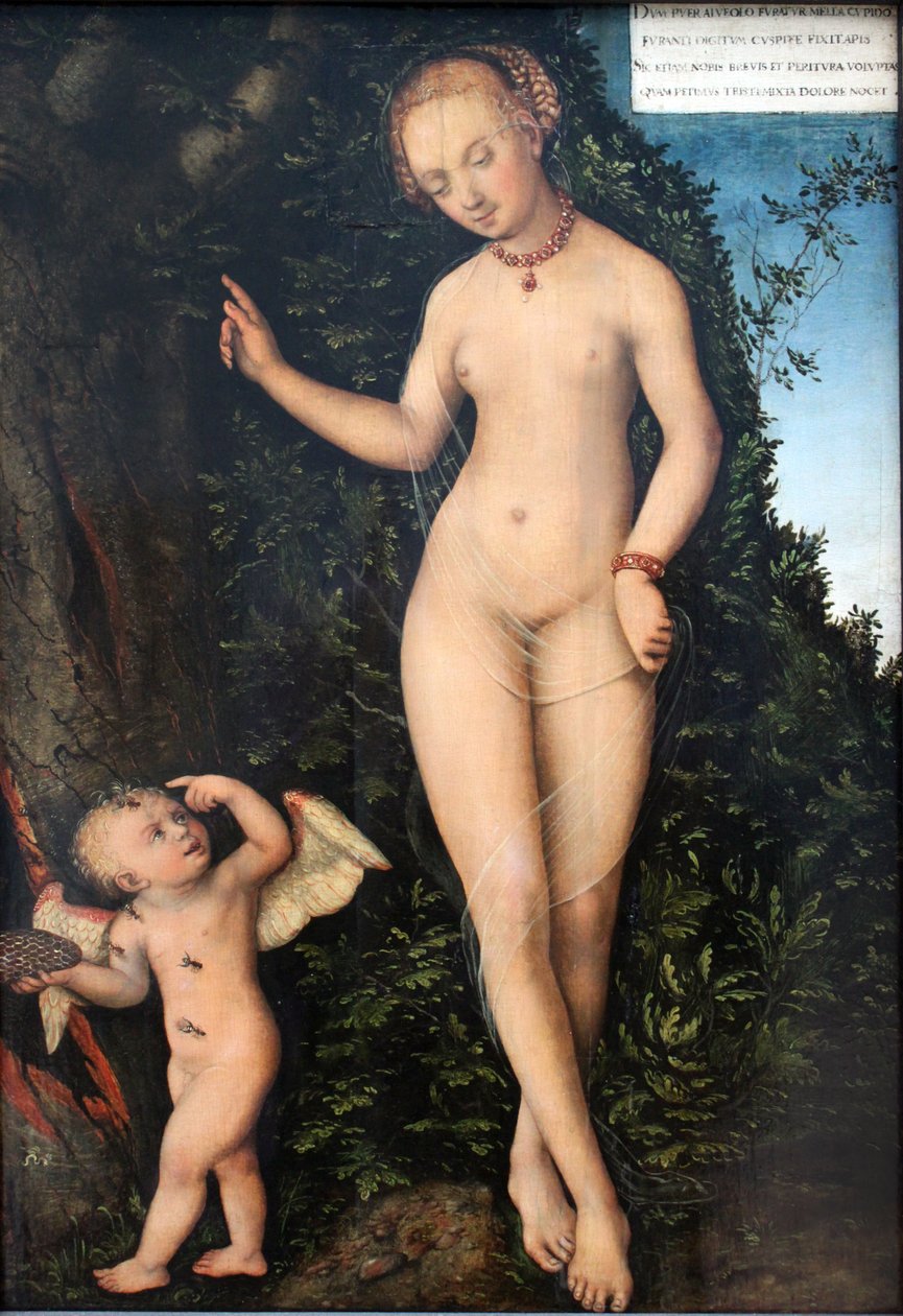 Venere e Cupido, il ladro di miele da Lucas Cranach the Elder