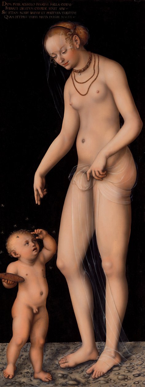 Venere con Cupido come ladro di miele da Lucas Cranach the Elder