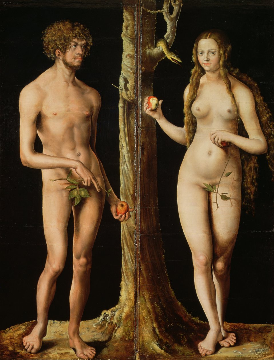 Adamo ed Eva, c.1508-10 da Lucas the Elder Cranach
