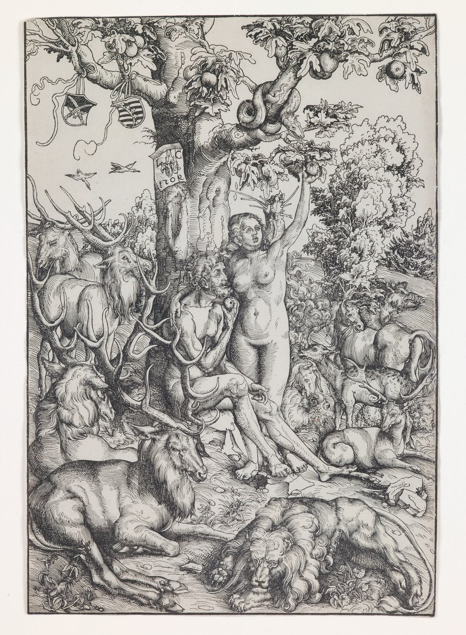 Adamo ed Eva in Paradiso da Lucas the Elder Cranach