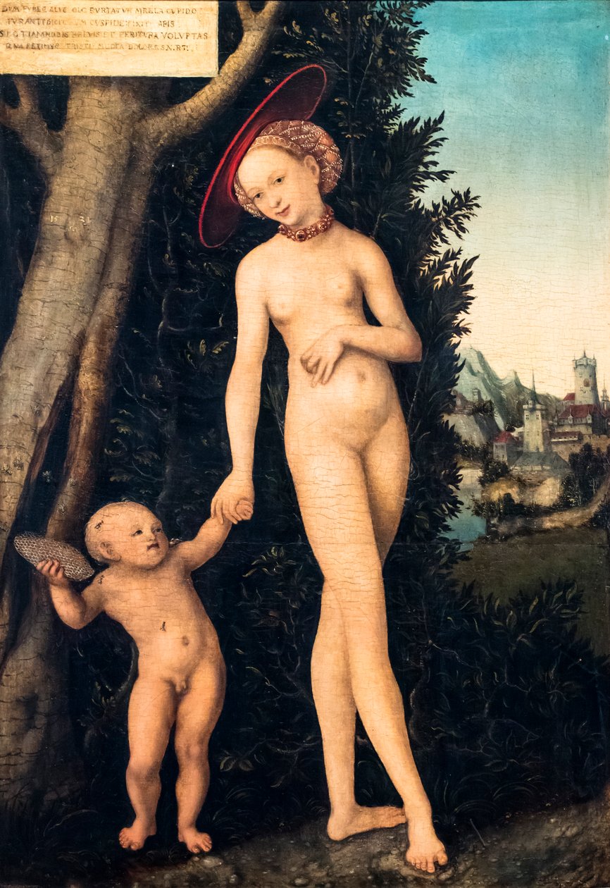 Venere e Cupido che rubano il miele da Lucas the Elder Cranach