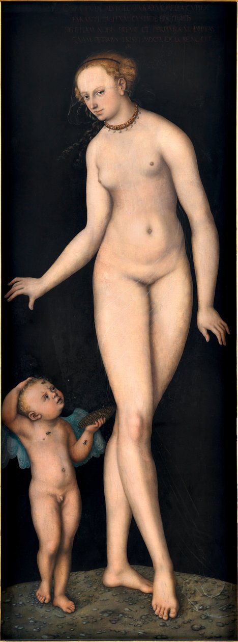 Venere con Cupido il ladro di miele, di Cranach, Lucas il Vecchio. Olio su legno, dopo il 1537. Dimensioni: 175,4x66,3 cm. Germanisches Nationalmuseum, Norimberga da Lucas the Elder Cranach