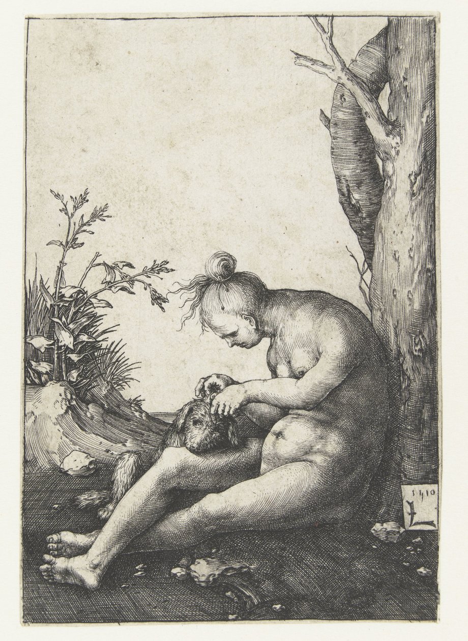 Donna nuda con cane da Lucas van Leyden
