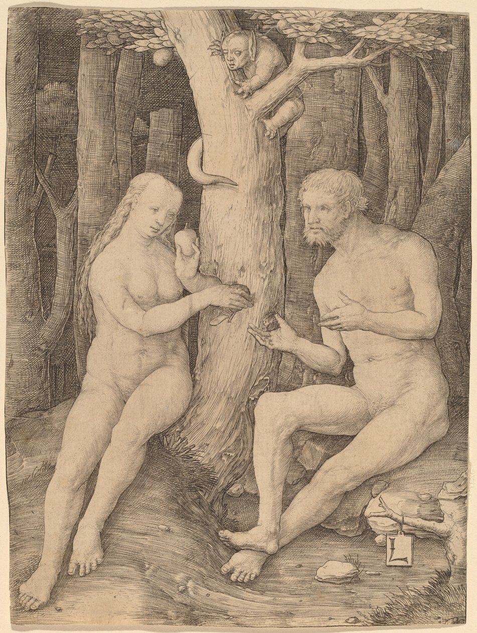 La caduta dell