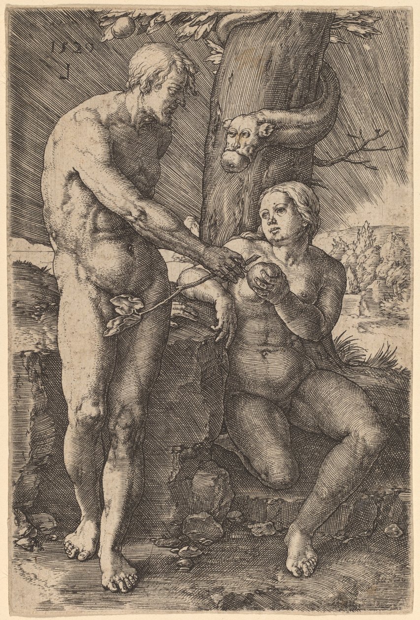 La Caduta dell