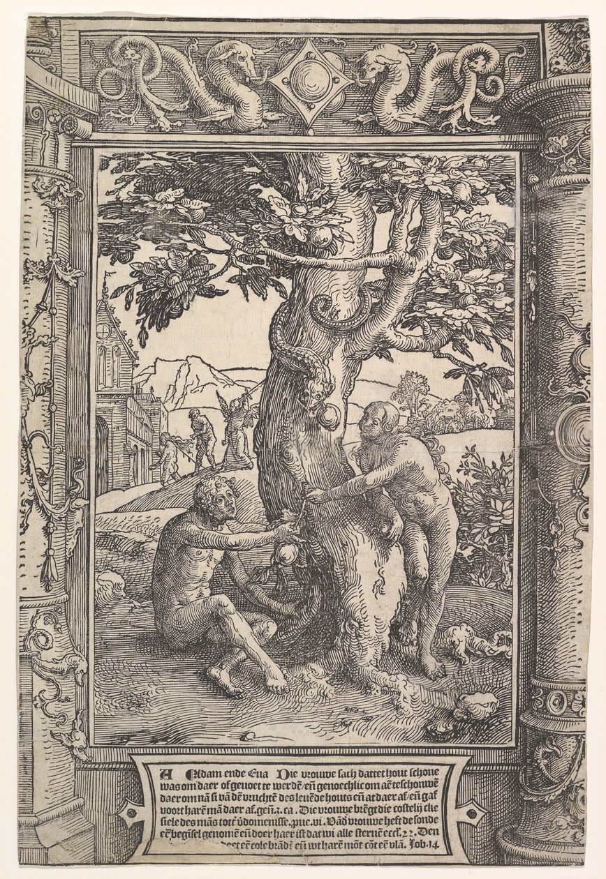 La caduta dell