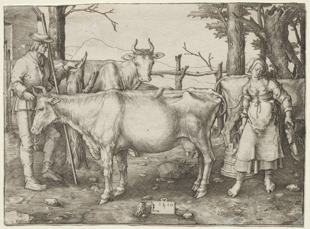 La lattaia da Lucas van Leyden