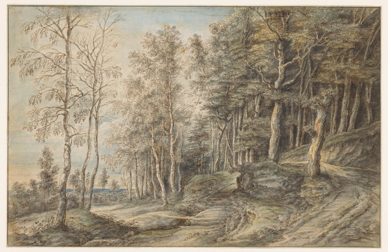Paesaggio boschivo da Lucas van Uden
