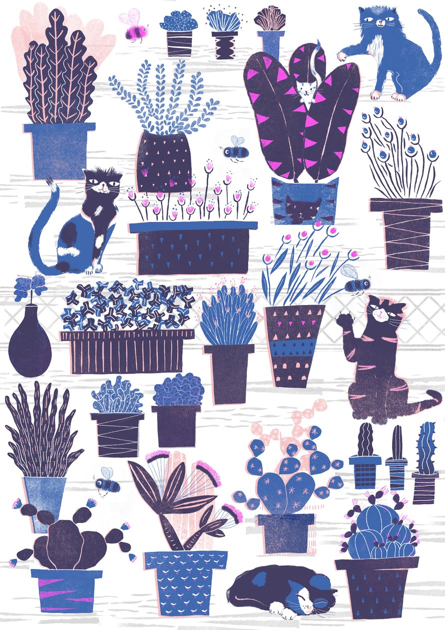 Giardino dei gatti, 2015 (digitale) da Lucy Banaji