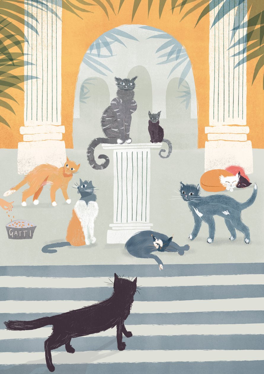 Razze di Roma, 2015 (digitale) da Lucy Banaji