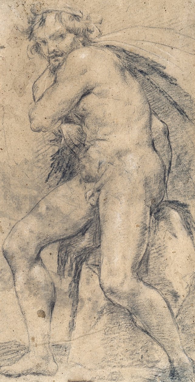 Nudo maschile (Ercole) da Ludovico Carracci
