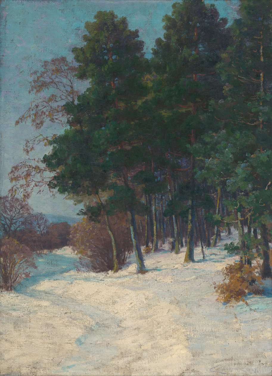 Foresta in inverno da Ludovit Cordak