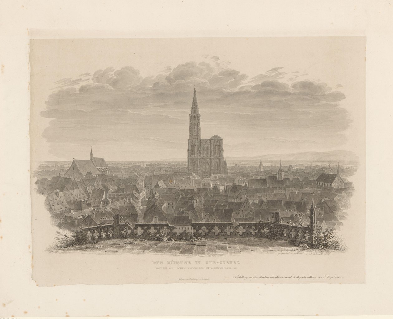 Vista della cattedrale di Strasburgo da Ludwig Friedrich Schnell