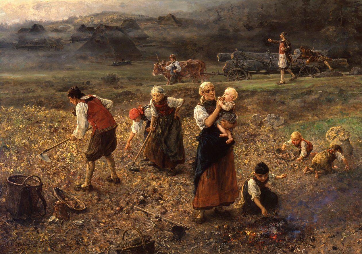 Potato harvest da Ludwig Knaus