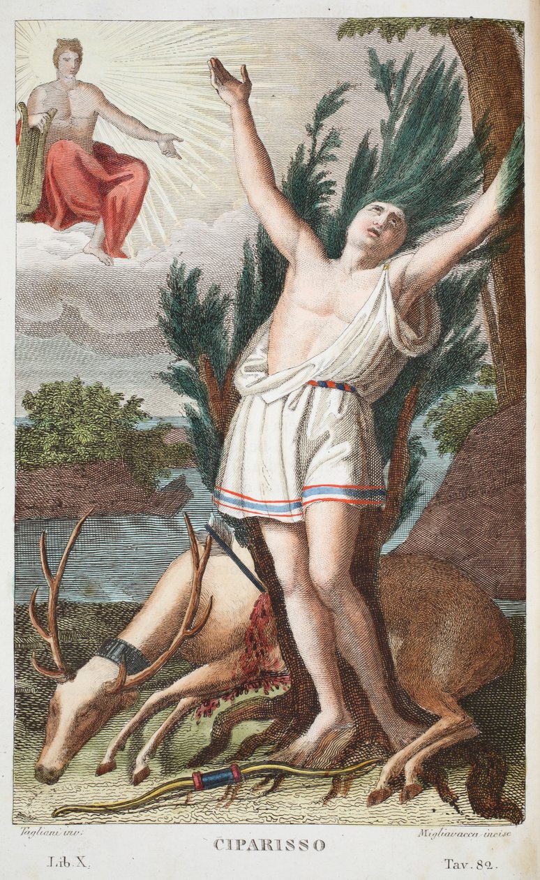 Ciparisso trasformato in un albero, Libro X, illustrazione dalle Metamorfosi di Ovidio, Firenze, 1832 (incisione colorata a mano) da Luigi Ademollo