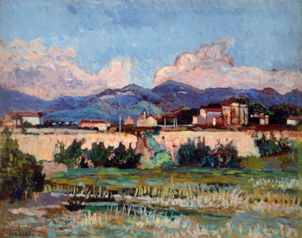 Case e giardini ad Ardenza, di Ulvi Liegi (1858-1939) da Luigi Levi