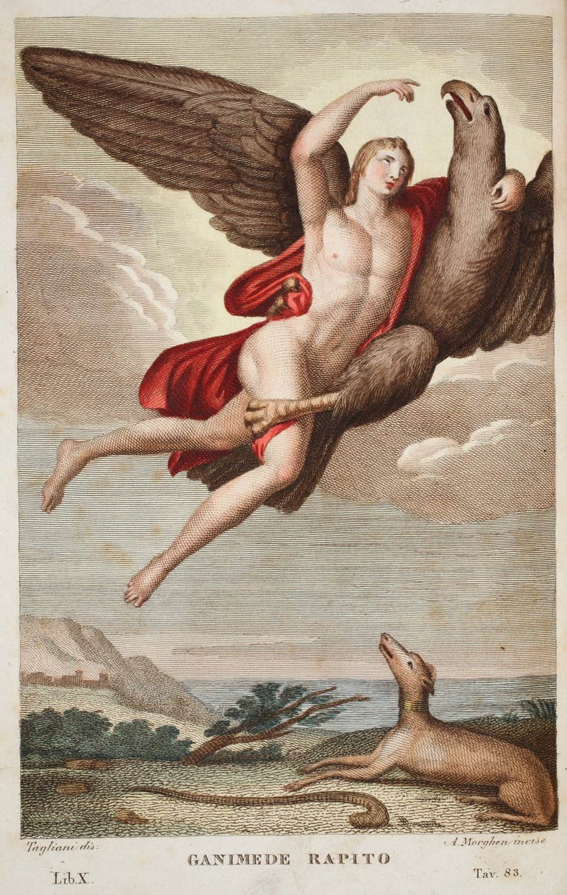 Ganimede rapito, Libro X, illustrazione dalle Metamorfosi di Ovidio, Firenze, 1832 da Luigi Ademollo