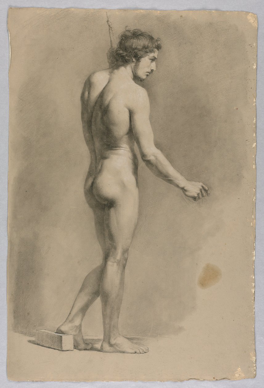 Nudo maschile da Luigi Calamatta