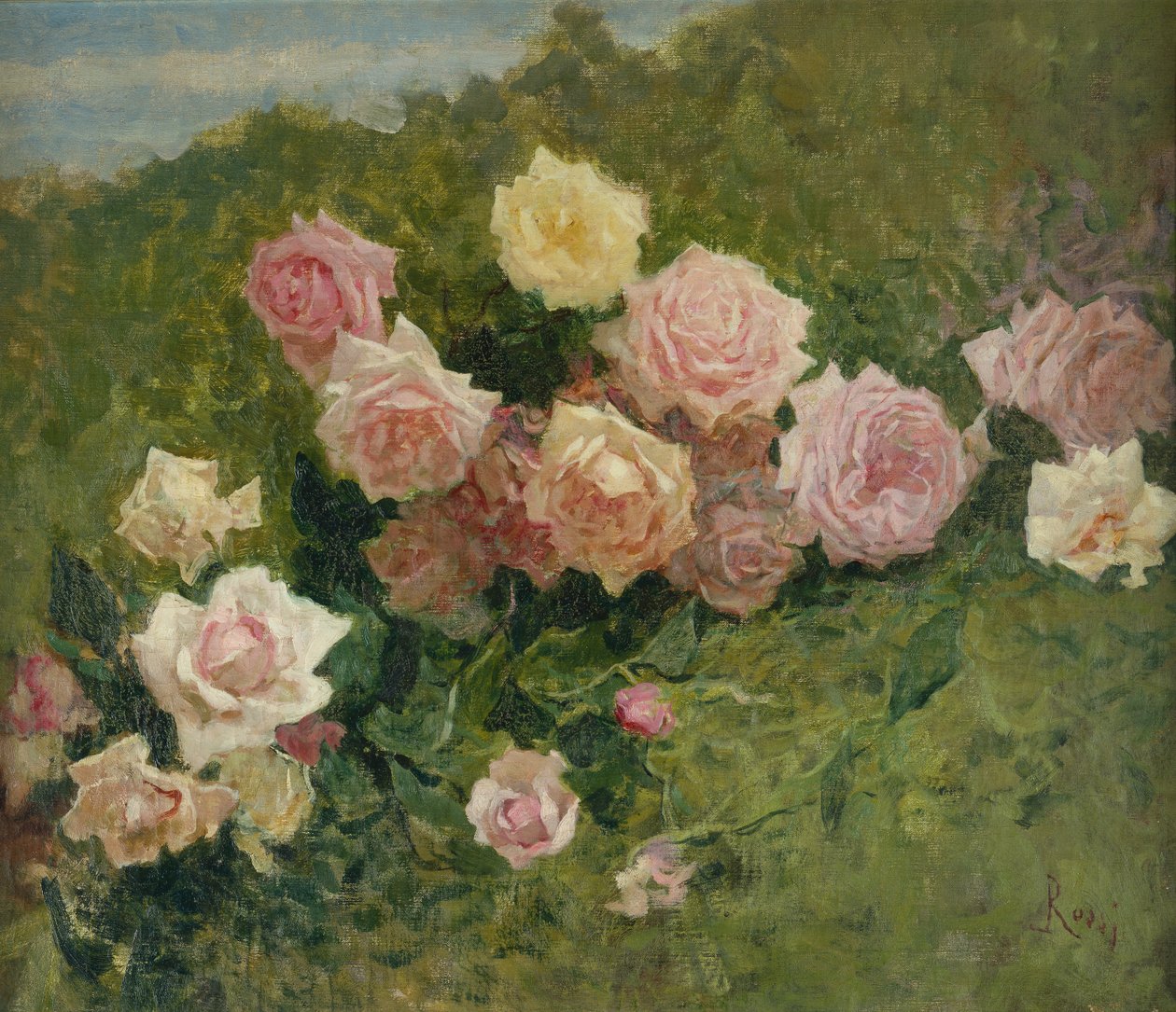 Studio di rose (olio su tela) da Luigi Rossi