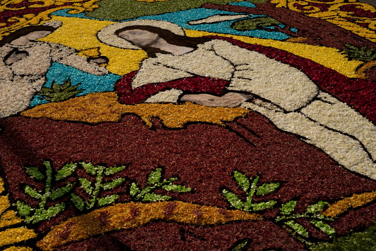 Settimana Santa, tappeto di fiori Surco, Lima, Perù da Luis Rosendo.