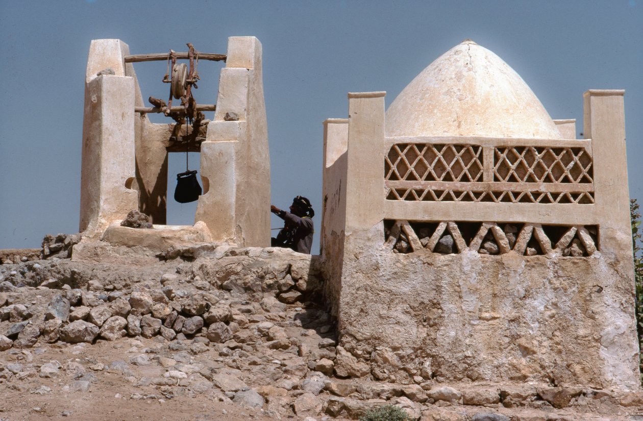 Nel deserto, un