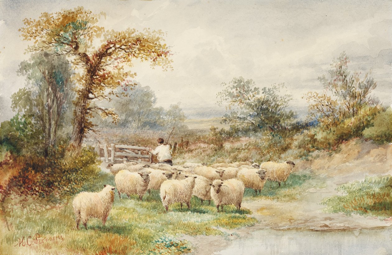 Paesaggio e Pecore da M.C. Parsons