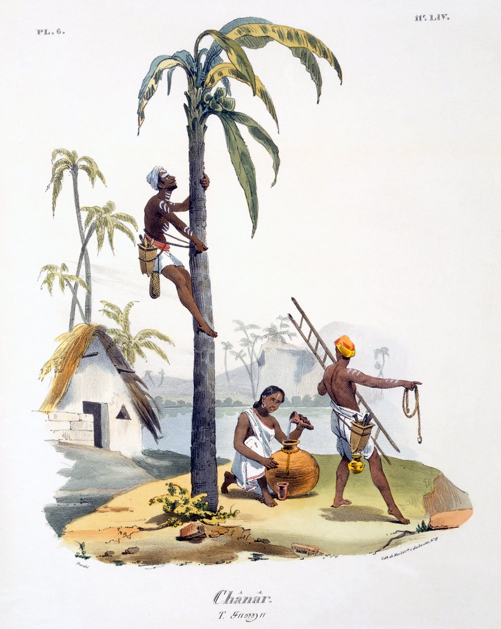 Un uomo della casta Nadar che scala una palma, 1827-35 da M.E. Burnouf